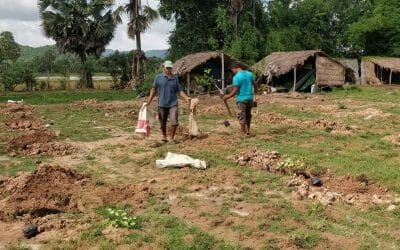 Neues Leben auf der Farm