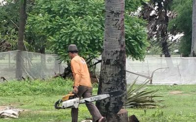 Neues Leben auf der Farm