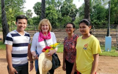 3 Monate Erziehungs-Coaching